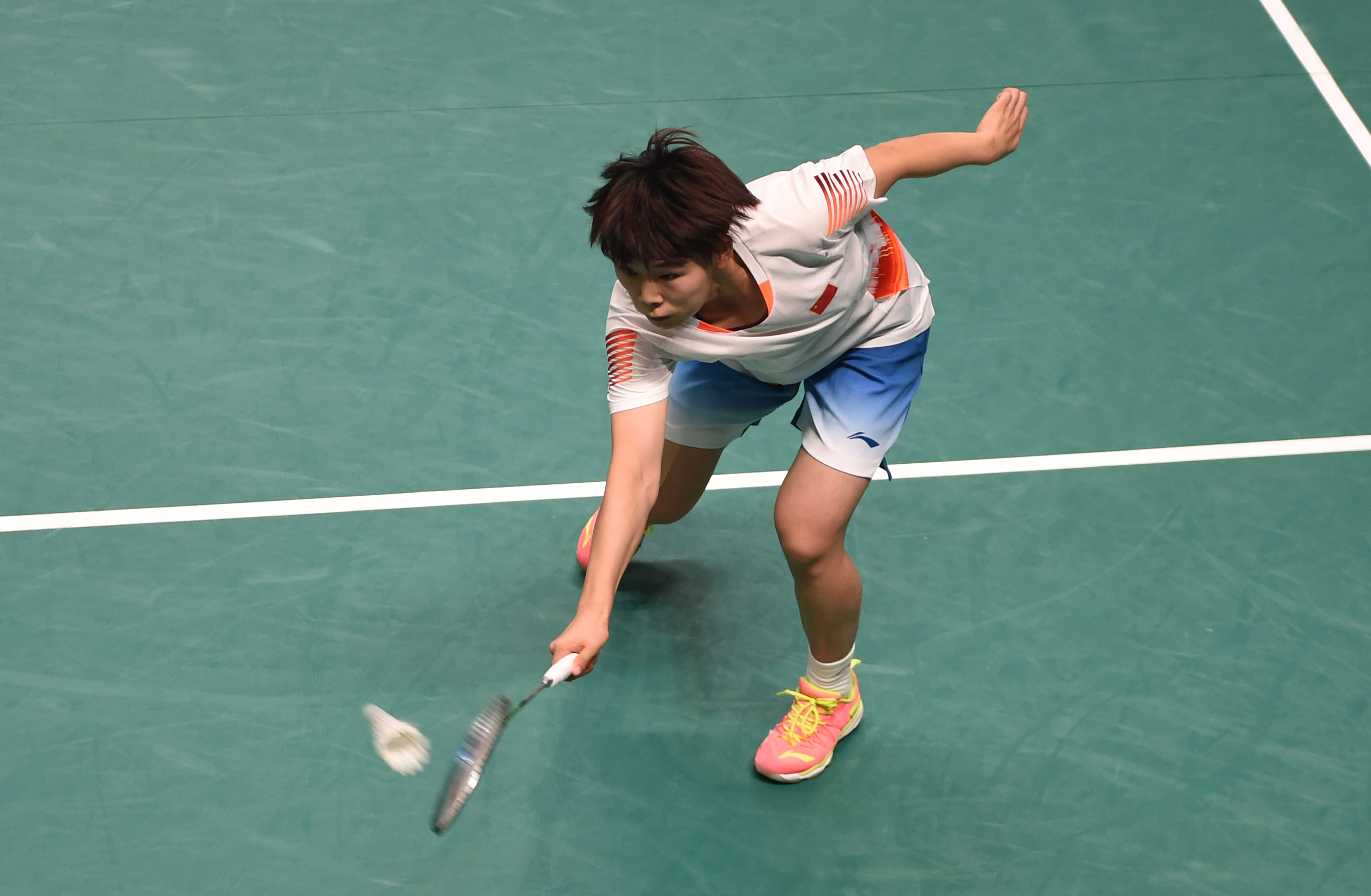 具有极大的 具有极大的